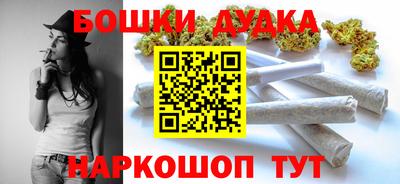 индика Гай