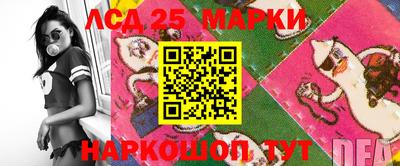 индика Гай