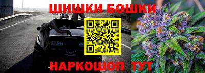 индика Гай