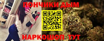 индика Гай