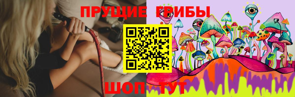 Карачаевск  Псилоцибиновые грибы ЛСД  Вход с VPN 